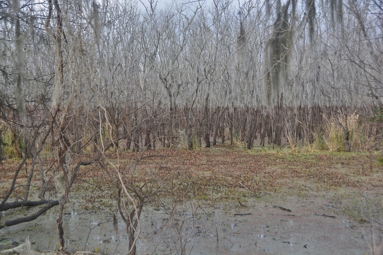 state park landscape